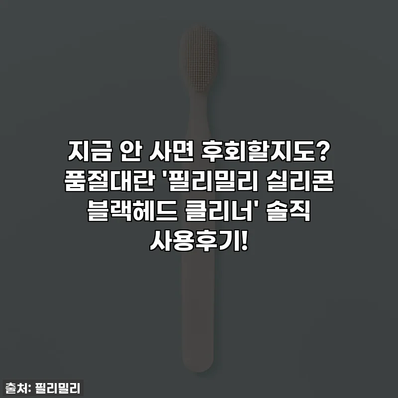 지금 안 사면 후회할지도? 품절대란 '필리밀리 실리콘 블랙헤드 클리너' 솔직 사용후기!