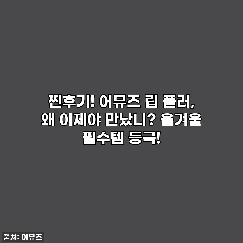 찐후기! 어뮤즈 립 풀러, 왜 이제야 만났니? 올겨울 필수템 등극!