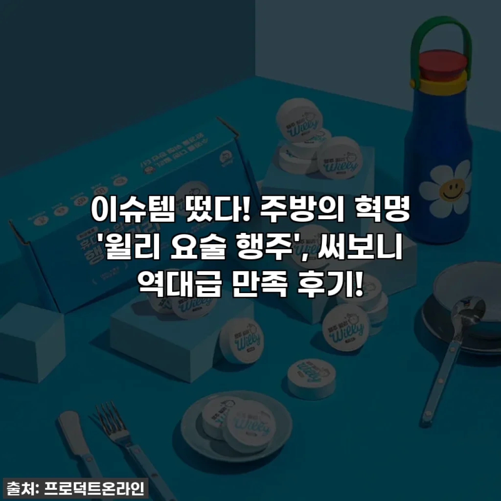 이슈템 떴다! 주방의 혁명 '윌리 요술 행주', 써보니 역대급 만족 후기!