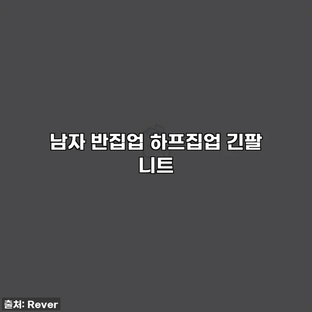 남자 반집업 하프집업 긴팔 니트