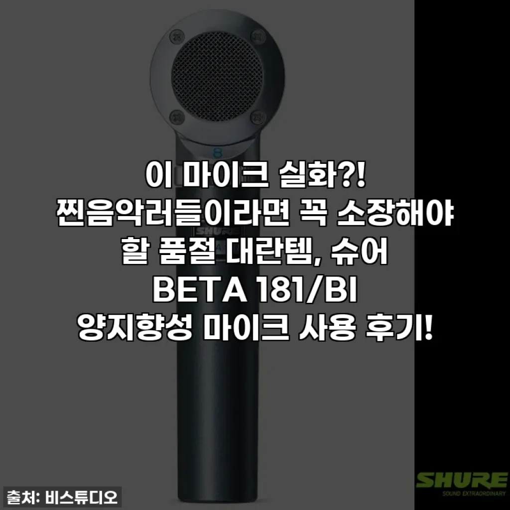이 마이크 실화?! 찐음악러들이라면 꼭 소장해야 할 품절 대란템, 슈어 BETA 181/BI 양지향성 마이크 사용 후기!