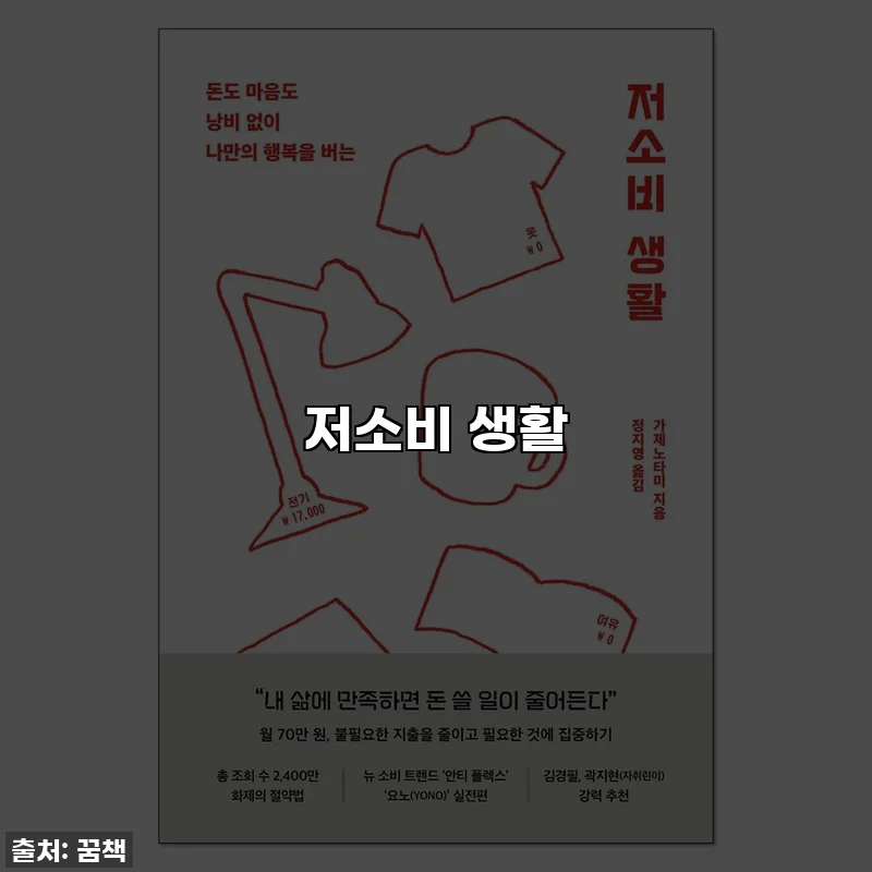 저소비 생활