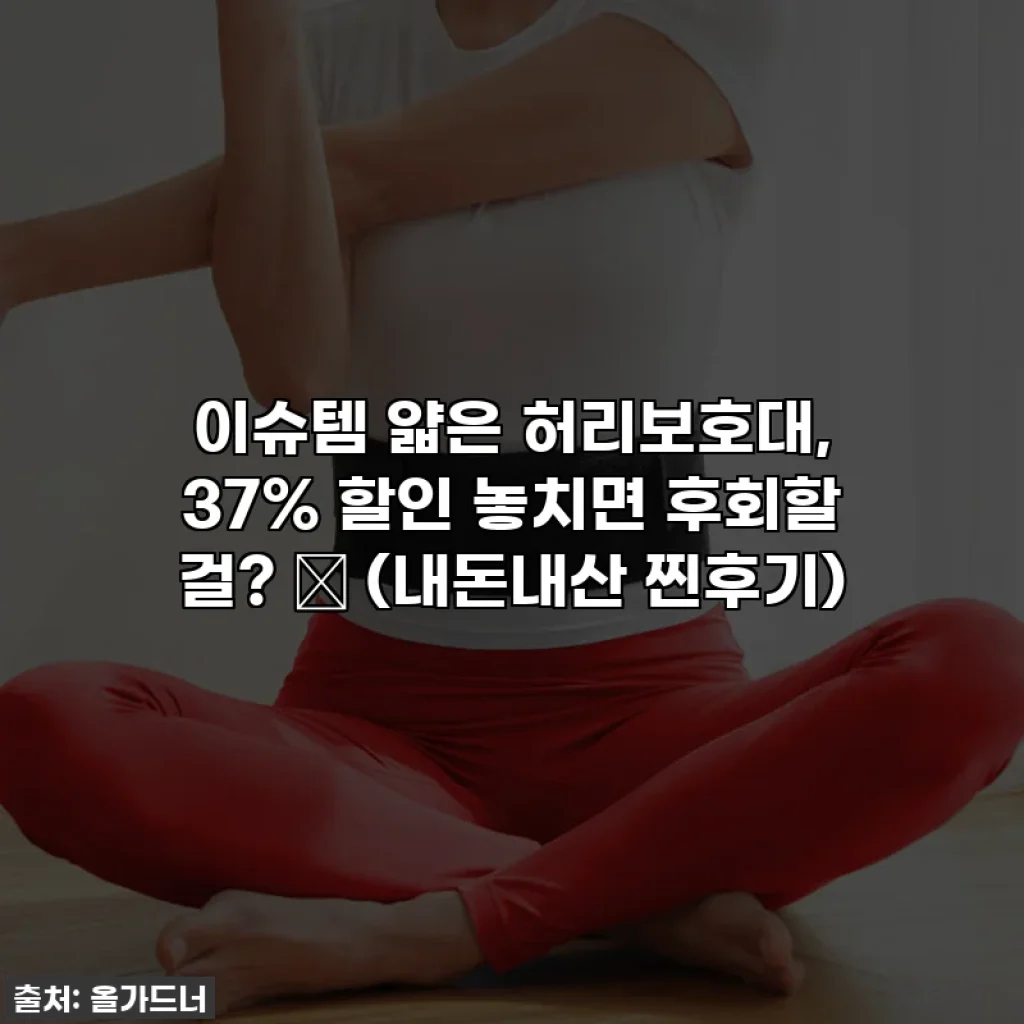 이슈템 얇은 허리보호대, 37% 할인 놓치면 후회할 걸? ✨ (내돈내산 찐후기)