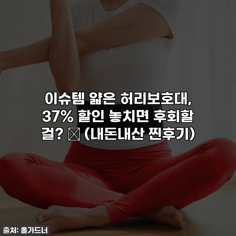 이슈템 얇은 허리보호대, 37% 할인 놓치면 후회할 걸? ✨ (내돈내산 찐후기)