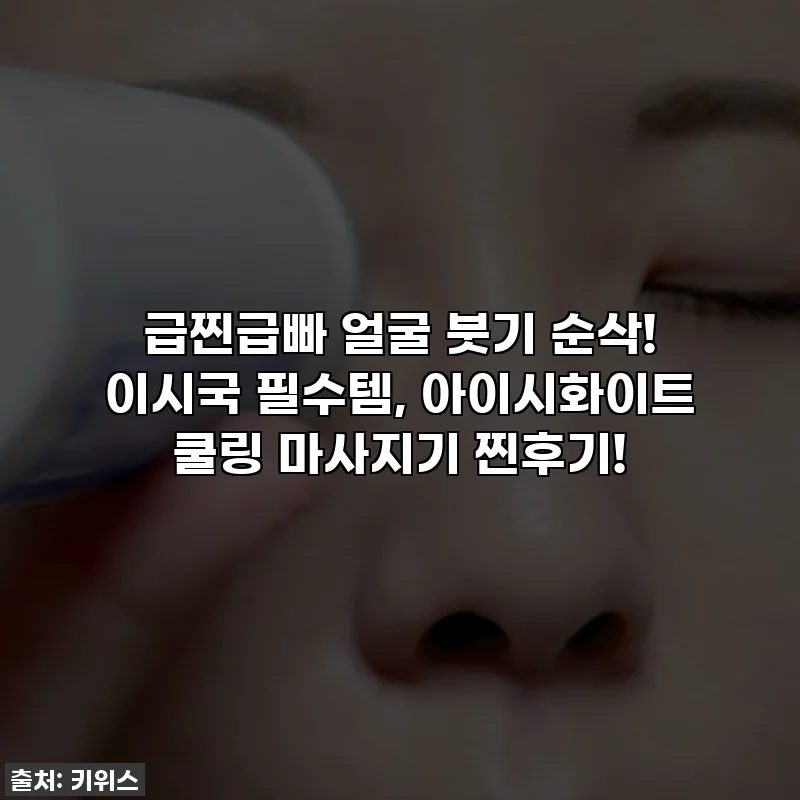 급찐급빠 얼굴 붓기 순삭! 이시국 필수템, 아이시화이트 쿨링 마사지기 찐후기!