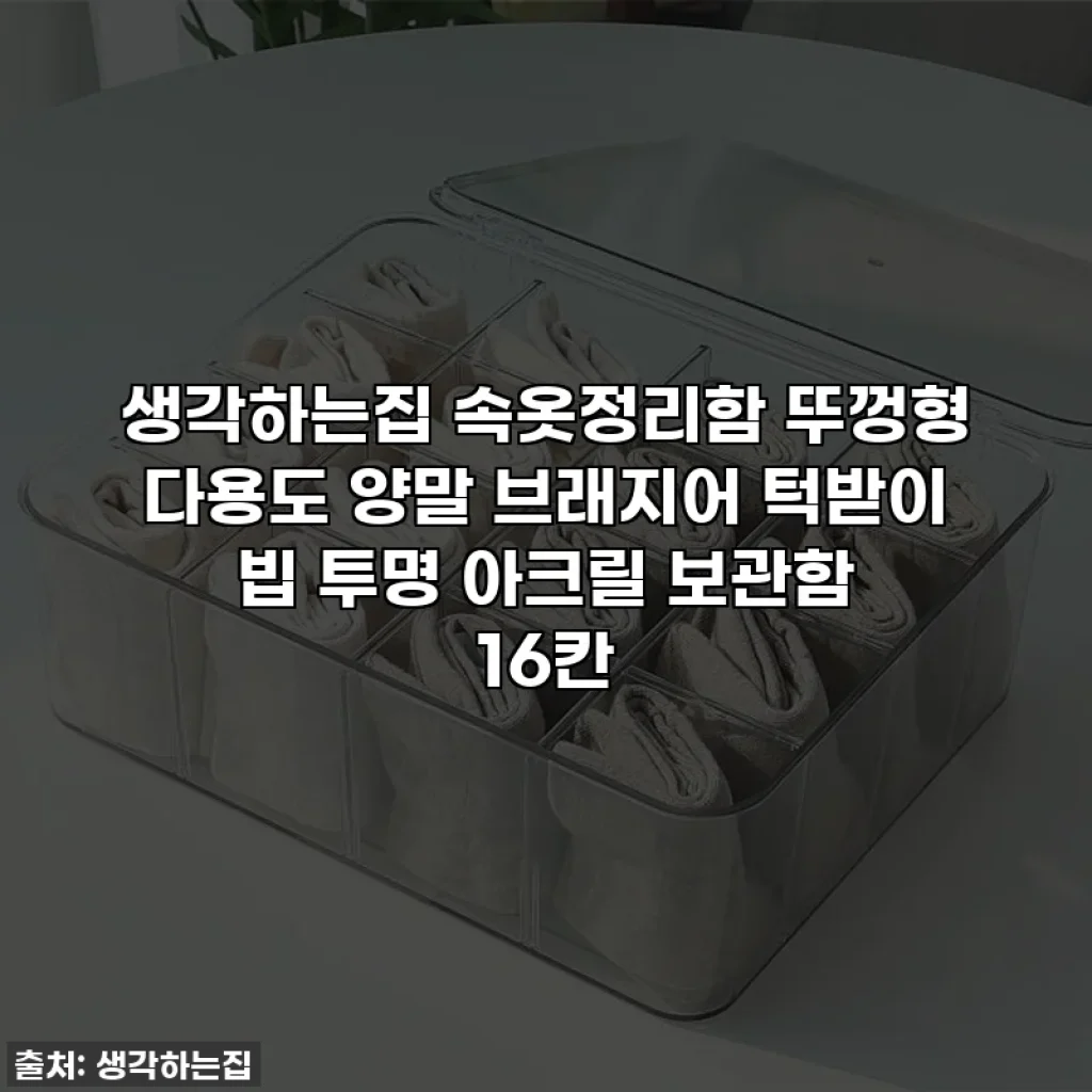 생각하는집 속옷정리함 뚜껑형 다용도 양말 브래지어 턱받이 빕 투명 아크릴 보관함 16칸