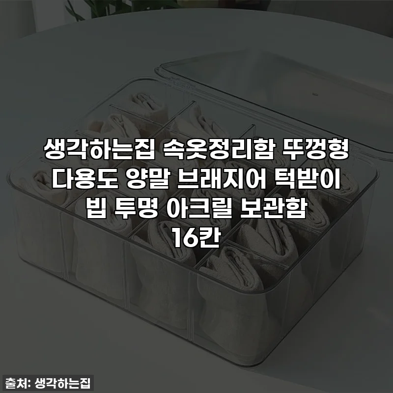 생각하는집 속옷정리함 뚜껑형 다용도 양말 브래지어 턱받이 빕 투명 아크릴 보관함 16칸