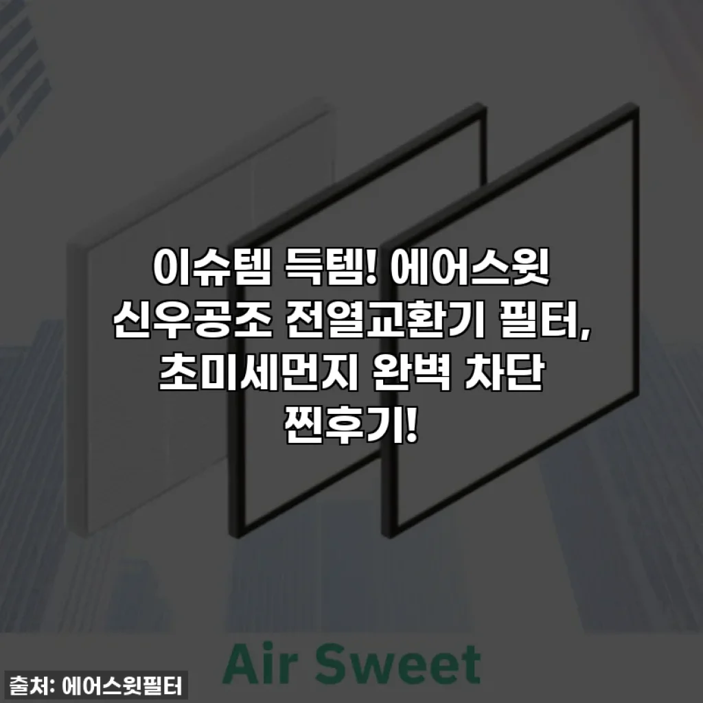 이슈템 득템! 에어스윗 신우공조 전열교환기 필터, 초미세먼지 완벽 차단 찐후기!