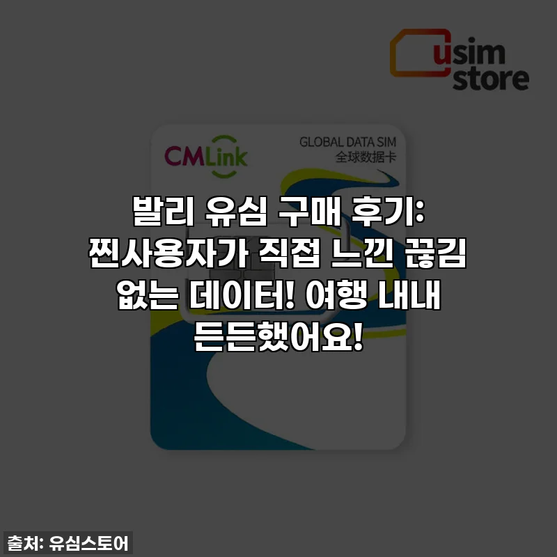 발리 유심 구매 후기: 찐사용자가 직접 느낀 끊김 없는 데이터! 여행 내내 든든했어요!