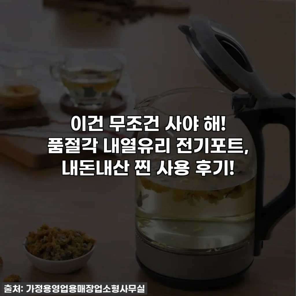 이건 무조건 사야 해! 품절각 내열유리 전기포트, 내돈내산 찐 사용 후기!