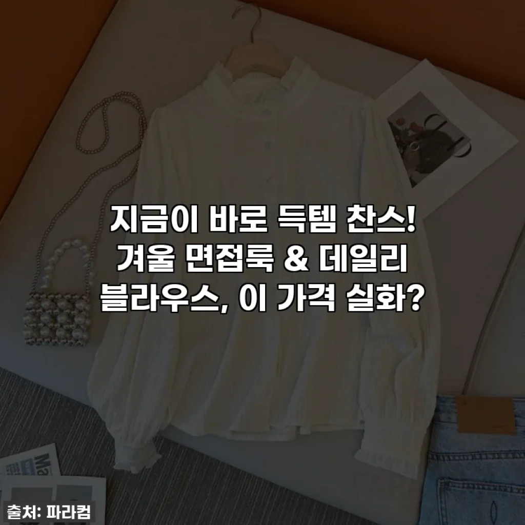 지금이 바로 득템 찬스! 겨울 면접룩 & 데일리 블라우스, 이 가격 실화?