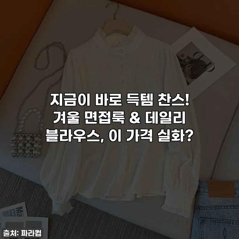 지금이 바로 득템 찬스! 겨울 면접룩 & 데일리 블라우스, 이 가격 실화?