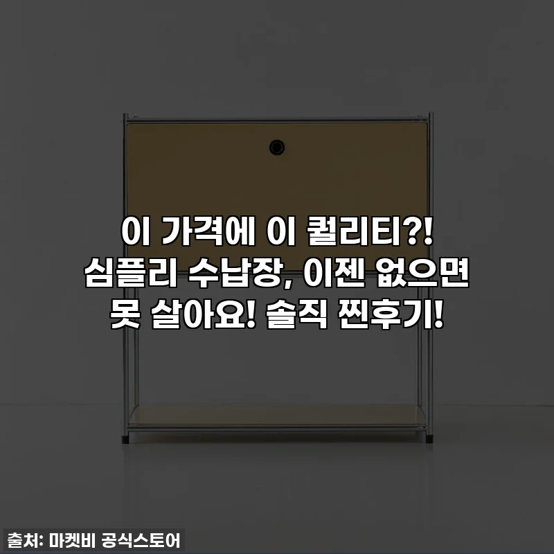 이 가격에 이 퀄리티?! 심플리 수납장, 이젠 없으면 못 살아요! 솔직 찐후기!