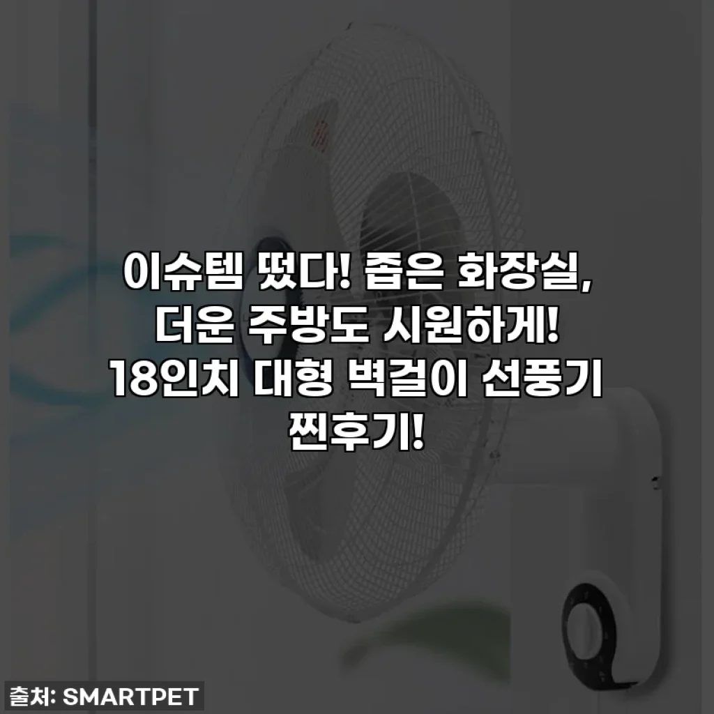 이슈템 떴다! 좁은 화장실, 더운 주방도 시원하게! 18인치 대형 벽걸이 선풍기 찐후기!