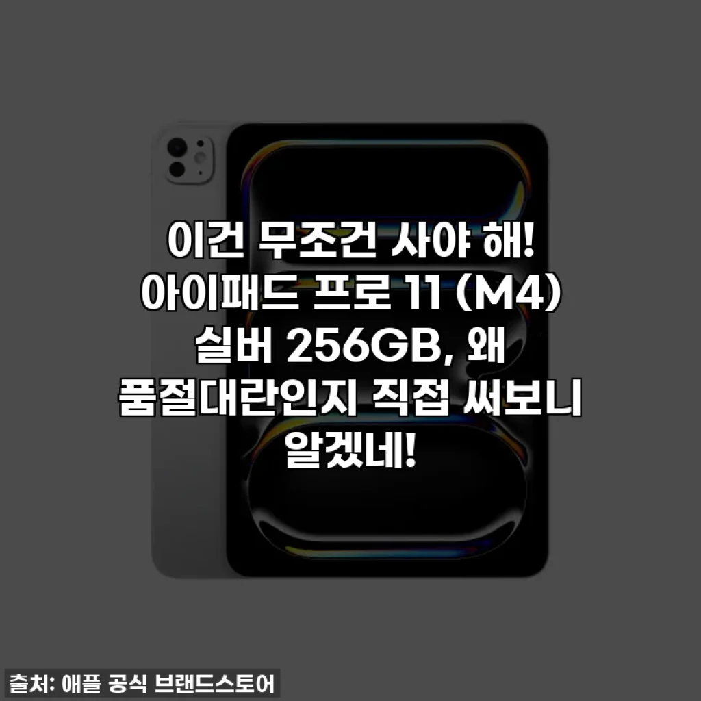 이건 무조건 사야 해! 아이패드 프로 11 (M4) 실버 256GB, 왜 품절대란인지 직접 써보니 알겠네!