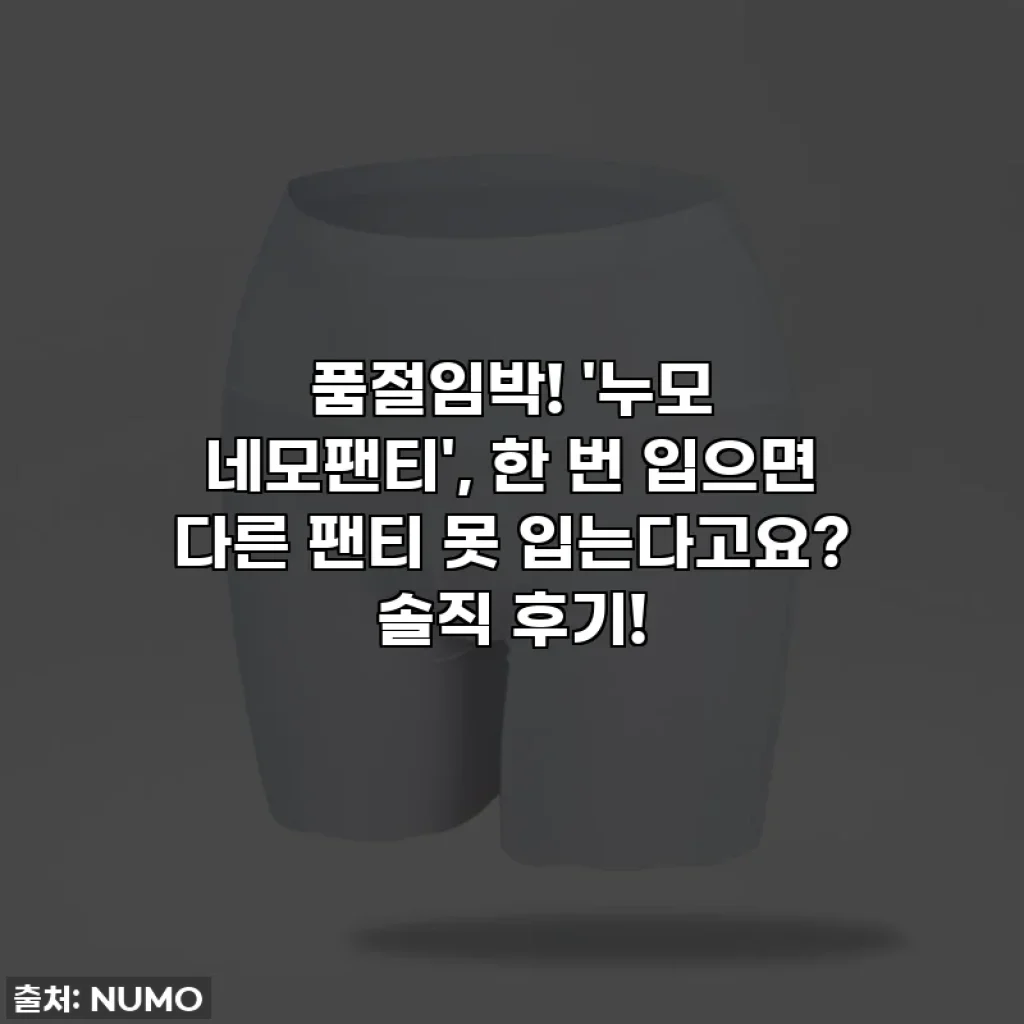 품절임박! '누모 네모팬티', 한 번 입으면 다른 팬티 못 입는다고요? 솔직 후기!