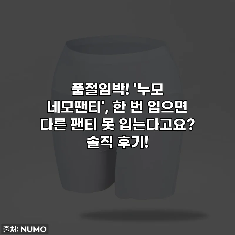 품절임박! '누모 네모팬티', 한 번 입으면 다른 팬티 못 입는다고요? 솔직 후기!