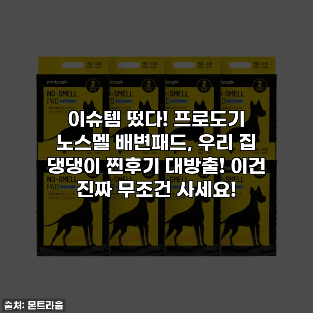 이슈템 떴다! 프로도기 노스멜 배변패드, 우리 집 댕댕이 찐후기 대방출! 이건 진짜 무조건 사세요!