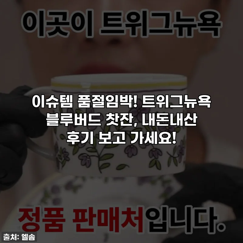 이슈템 품절임박! 트위그뉴욕 블루버드 찻잔, 내돈내산 후기 보고 가세요!