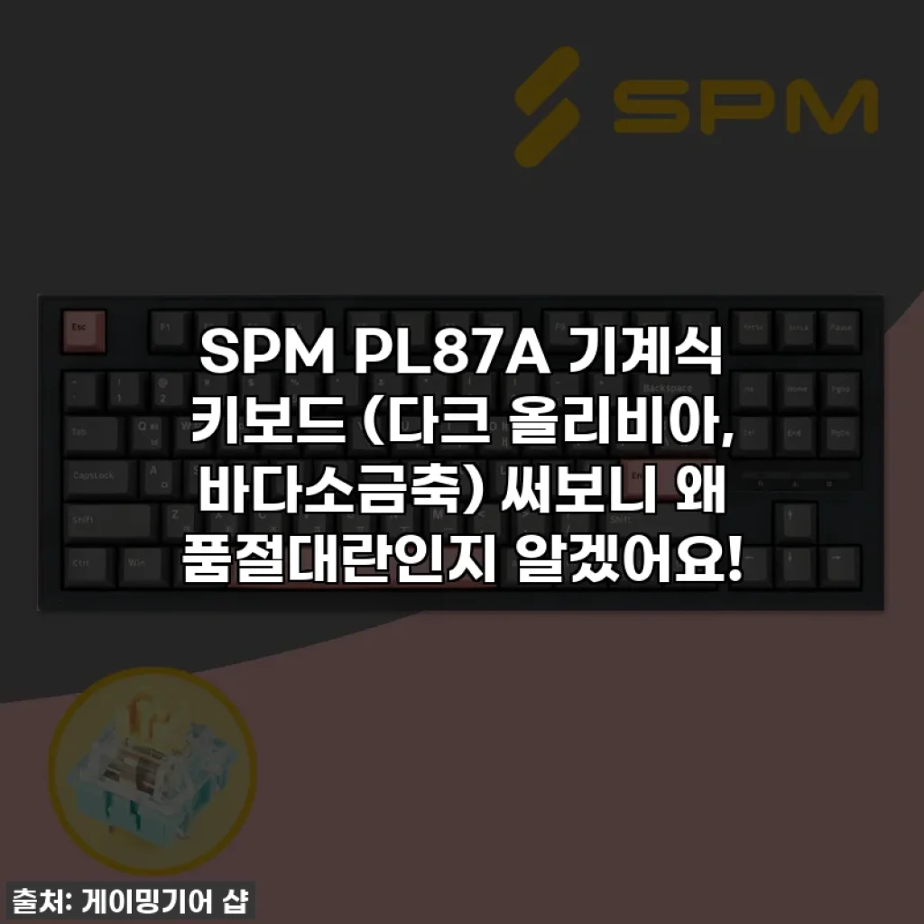 SPM PL87A 기계식 키보드 (다크 올리비아, 바다소금축) 써보니 왜 품절대란인지 알겠어요!