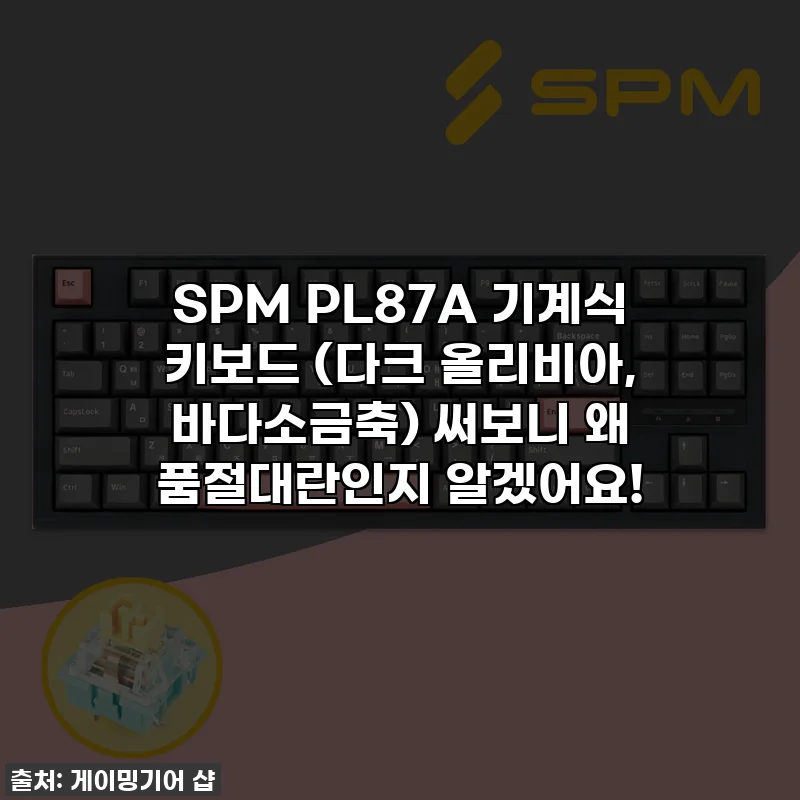 SPM PL87A 기계식 키보드 (다크 올리비아, 바다소금축) 써보니 왜 품절대란인지 알겠어요!
