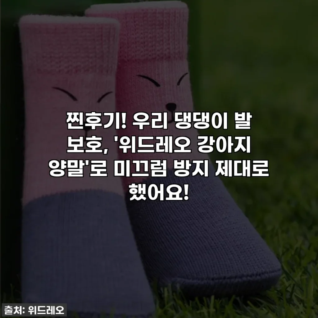 찐후기! 우리 댕댕이 발 보호, '위드레오 강아지 양말'로 미끄럼 방지 제대로 했어요!