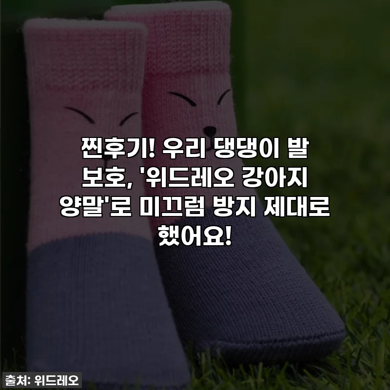찐후기! 우리 댕댕이 발 보호, '위드레오 강아지 양말'로 미끄럼 방지 제대로 했어요!