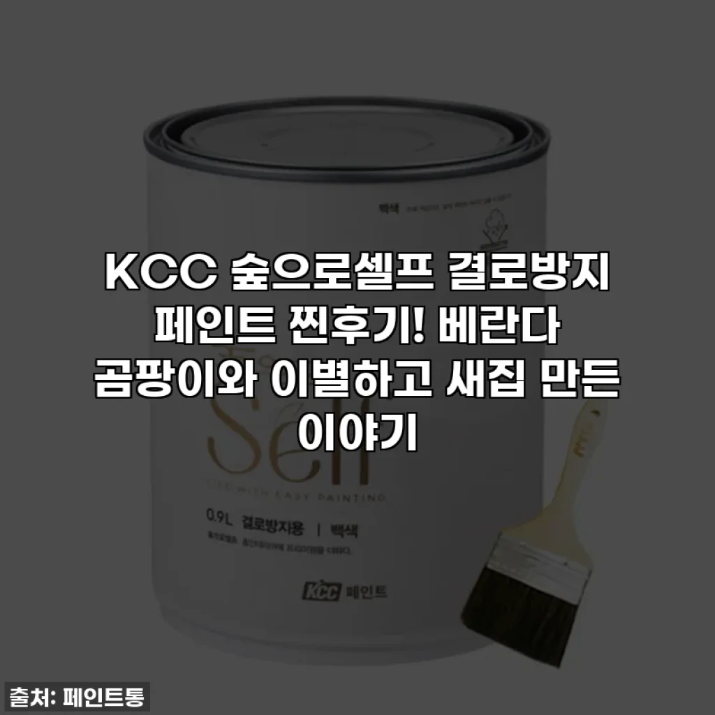 KCC 숲으로셀프 결로방지 페인트 찐후기! 베란다 곰팡이와 이별하고 새집 만든 이야기