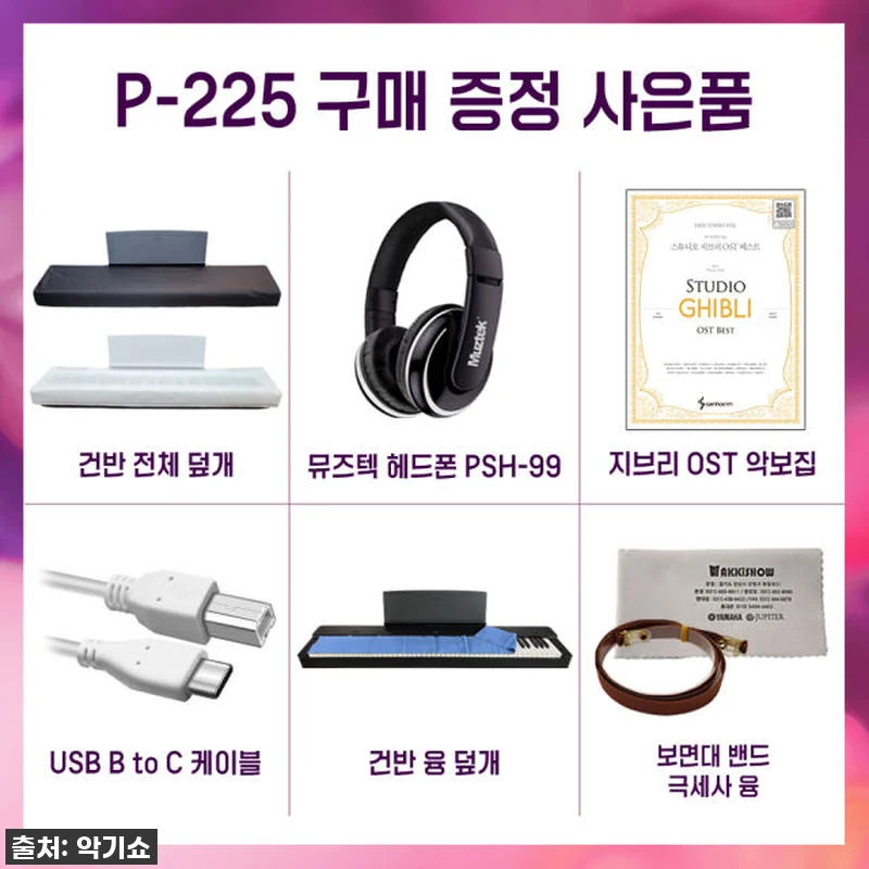 우리집이 콘서트홀? 야마하 P225 관련 이미지 1