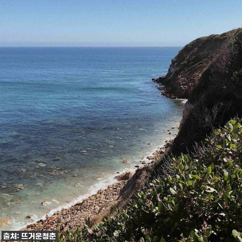 인생 버킷리스트 클리어! LA 말리부 관련 이미지 2