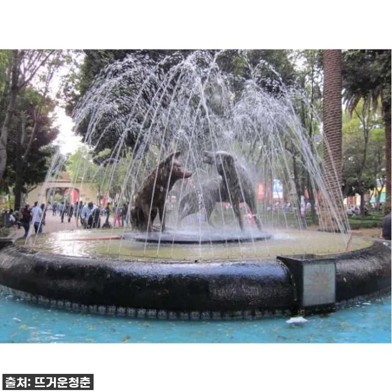 이 가격 실화?! 멕시코시티 프리다 관련 이미지 2