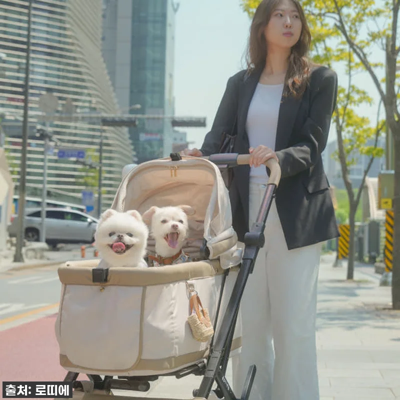 댕댕이 할미템 등극! 로띠에 노블레스 관련 이미지 2