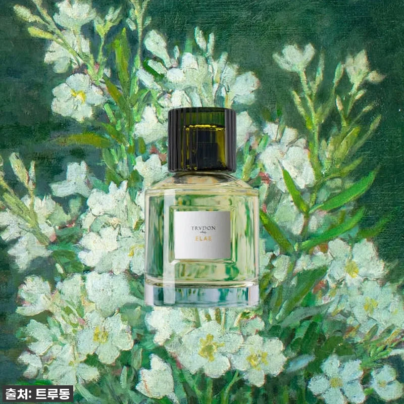 엘래 오 드 퍼퓸 100ml: 품절대 관련 이미지 2