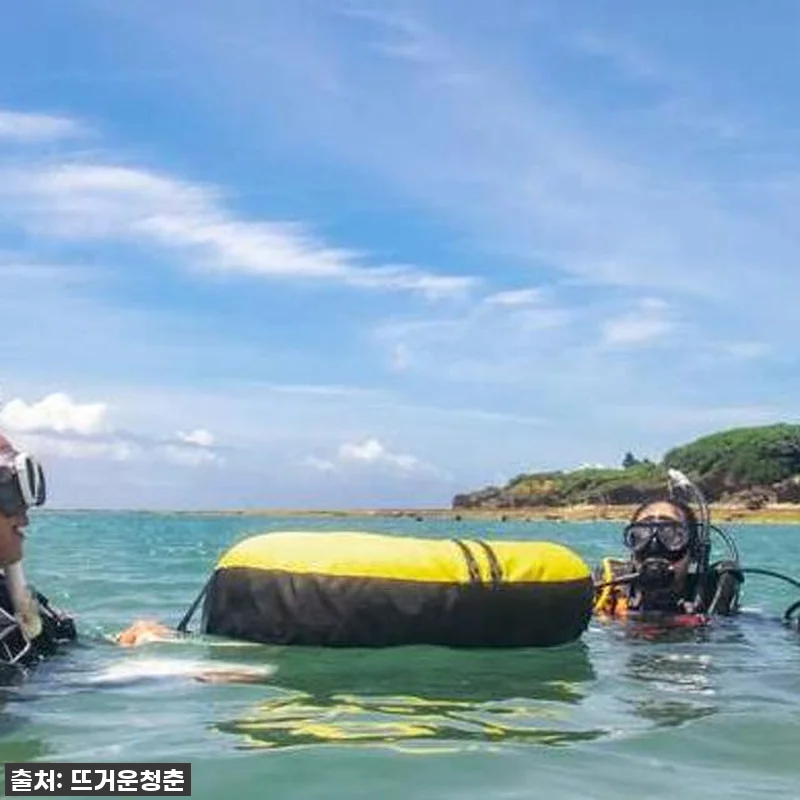 🎉 품절 대란 예상! 오키나와 오픈 관련 이미지 2
