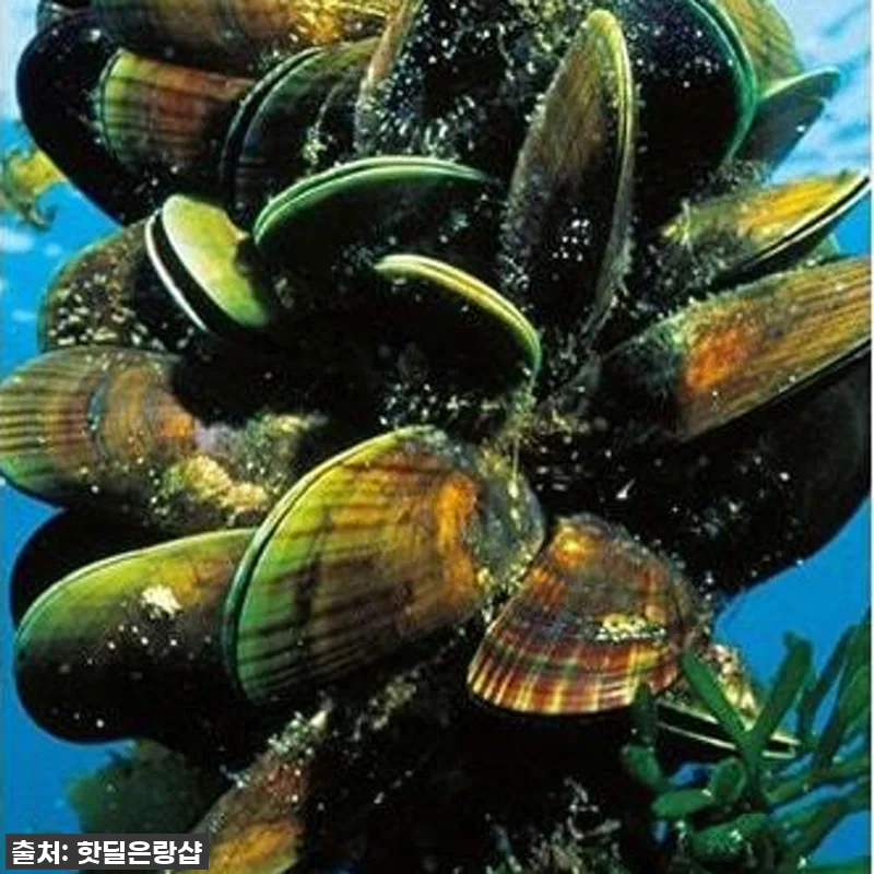 지금 바로 경험해야 할 기적! 라이프 관련 이미지 3