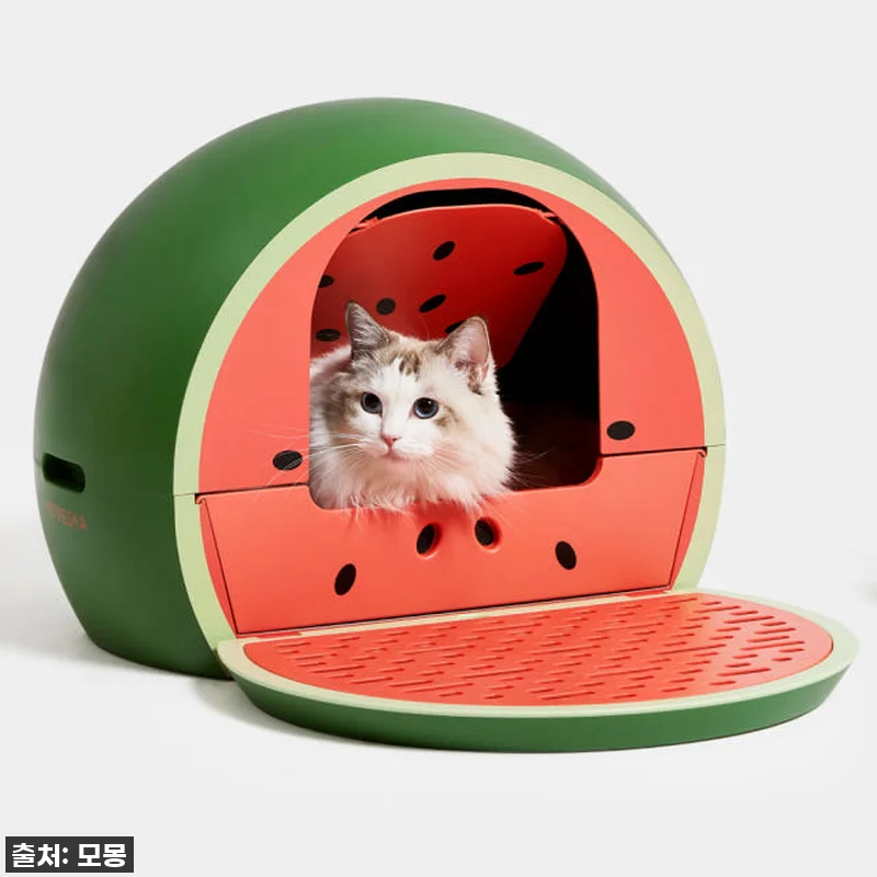 이 비주얼 실화? 우리 냥이 화장실이 관련 이미지 3