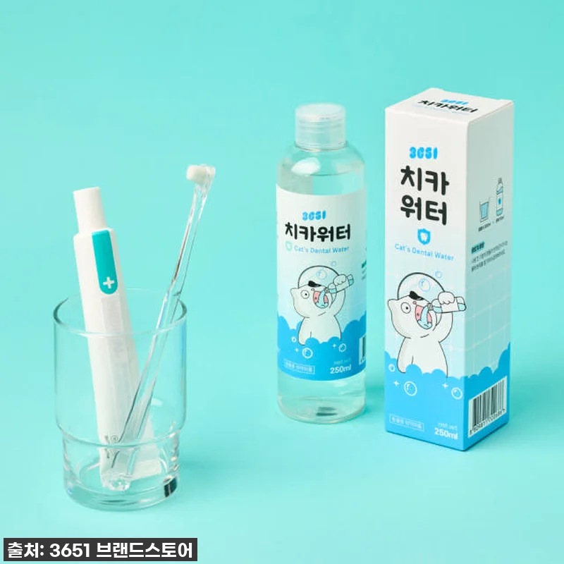 찐후기! 3651 치카워터 덴탈워터, 관련 이미지 4