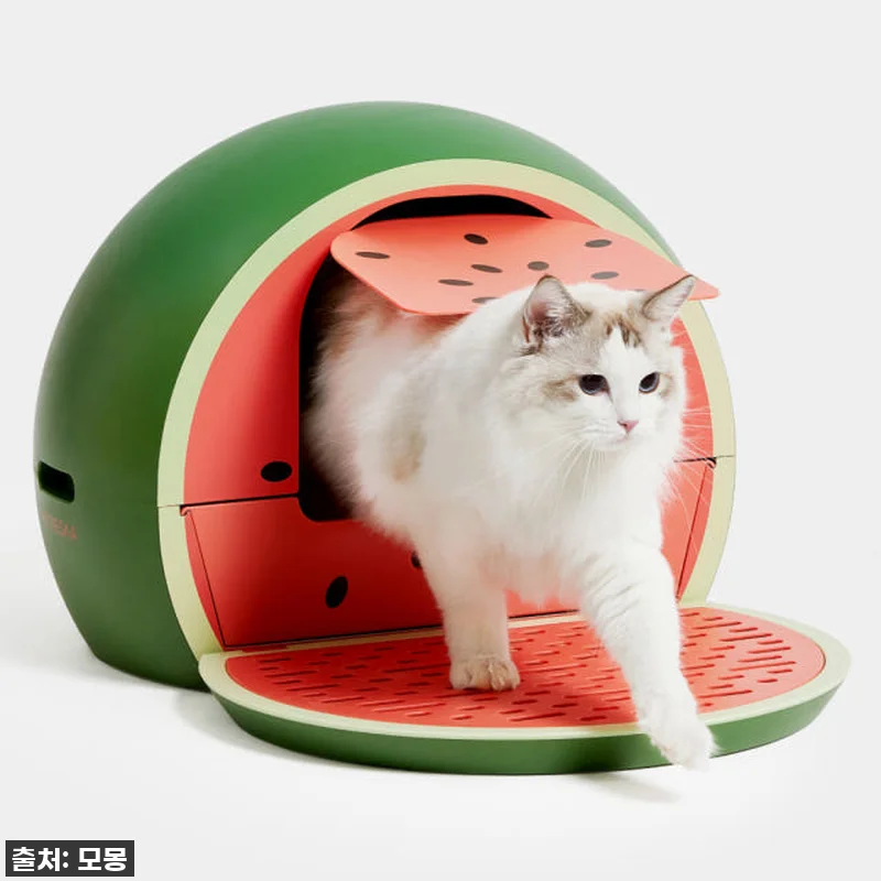 이 비주얼 실화? 우리 냥이 화장실이 관련 이미지 4