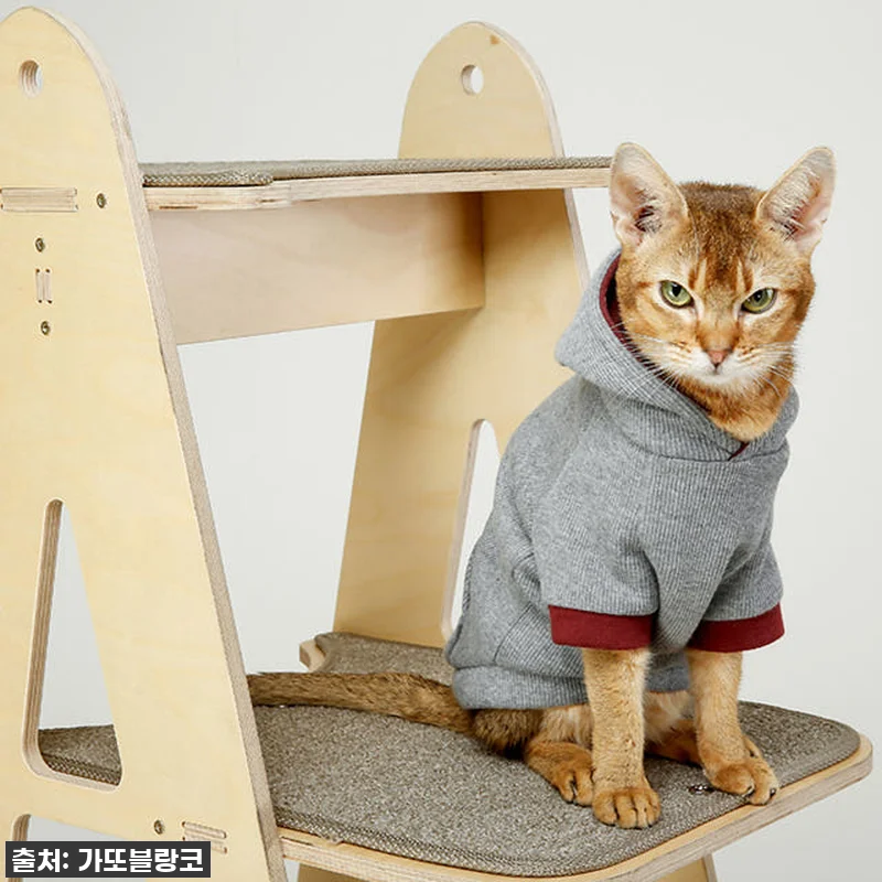 에펠 타워 원목 캣타워, 우리 집 냥 관련 이미지 4