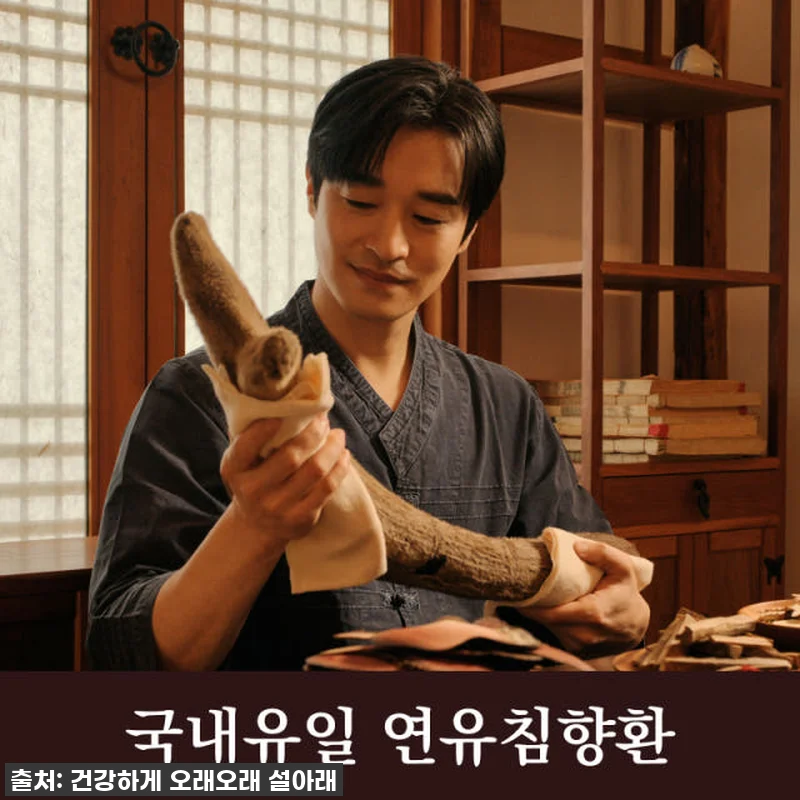 피로 순삭! '설아래 연유 침향환' 관련 이미지 4