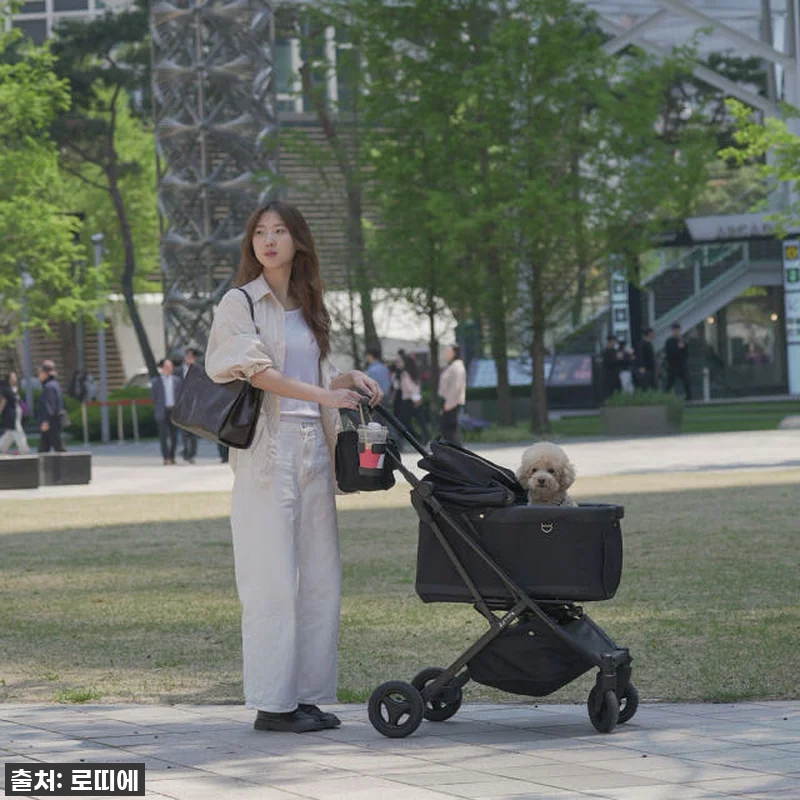 댕댕이 할미템 등극! 로띠에 노블레스 관련 이미지 5