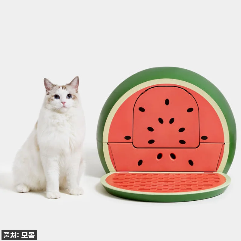 이 비주얼 실화? 우리 냥이 화장실이 관련 이미지 6