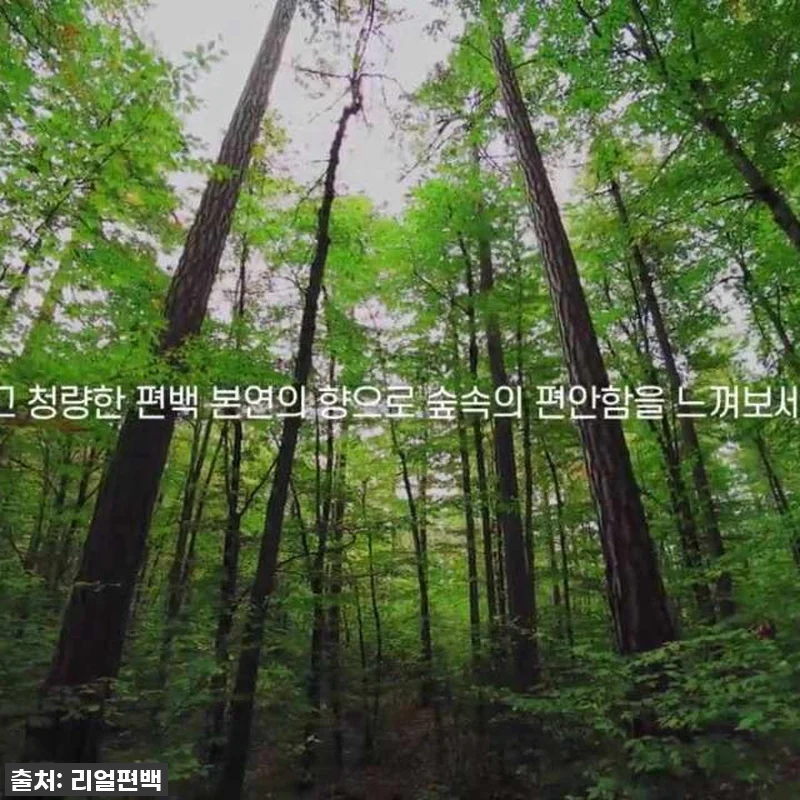 찐후기! 5L 대용량 편백수, 새집/ 관련 이미지 8
