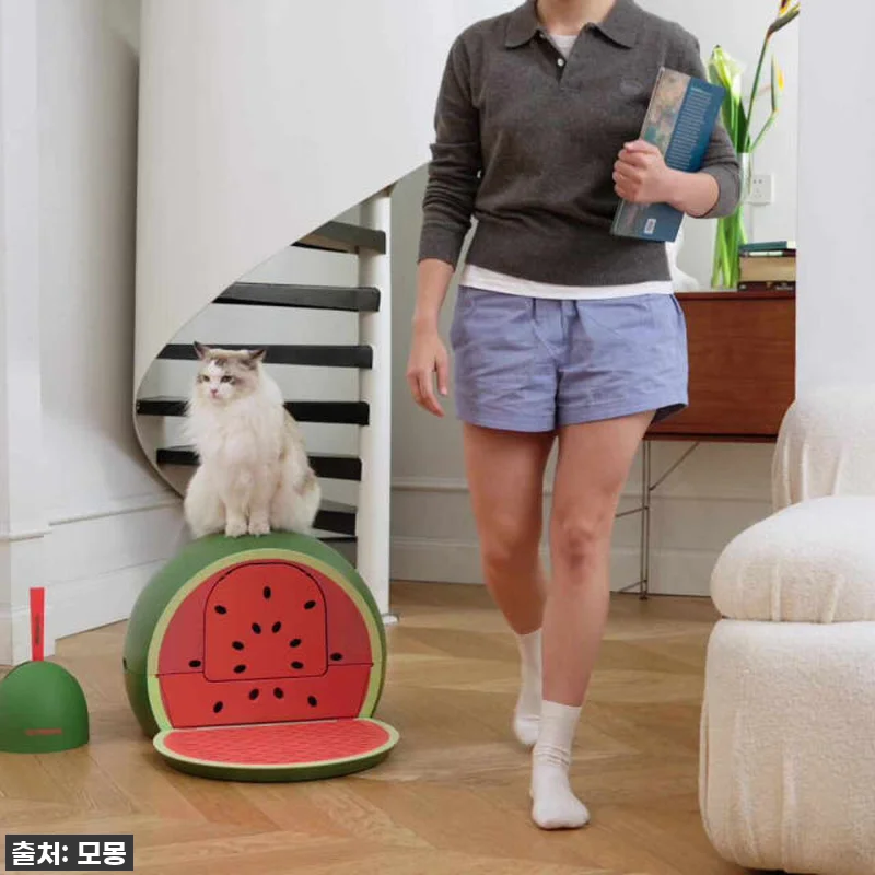이 비주얼 실화? 우리 냥이 화장실이 관련 이미지 10