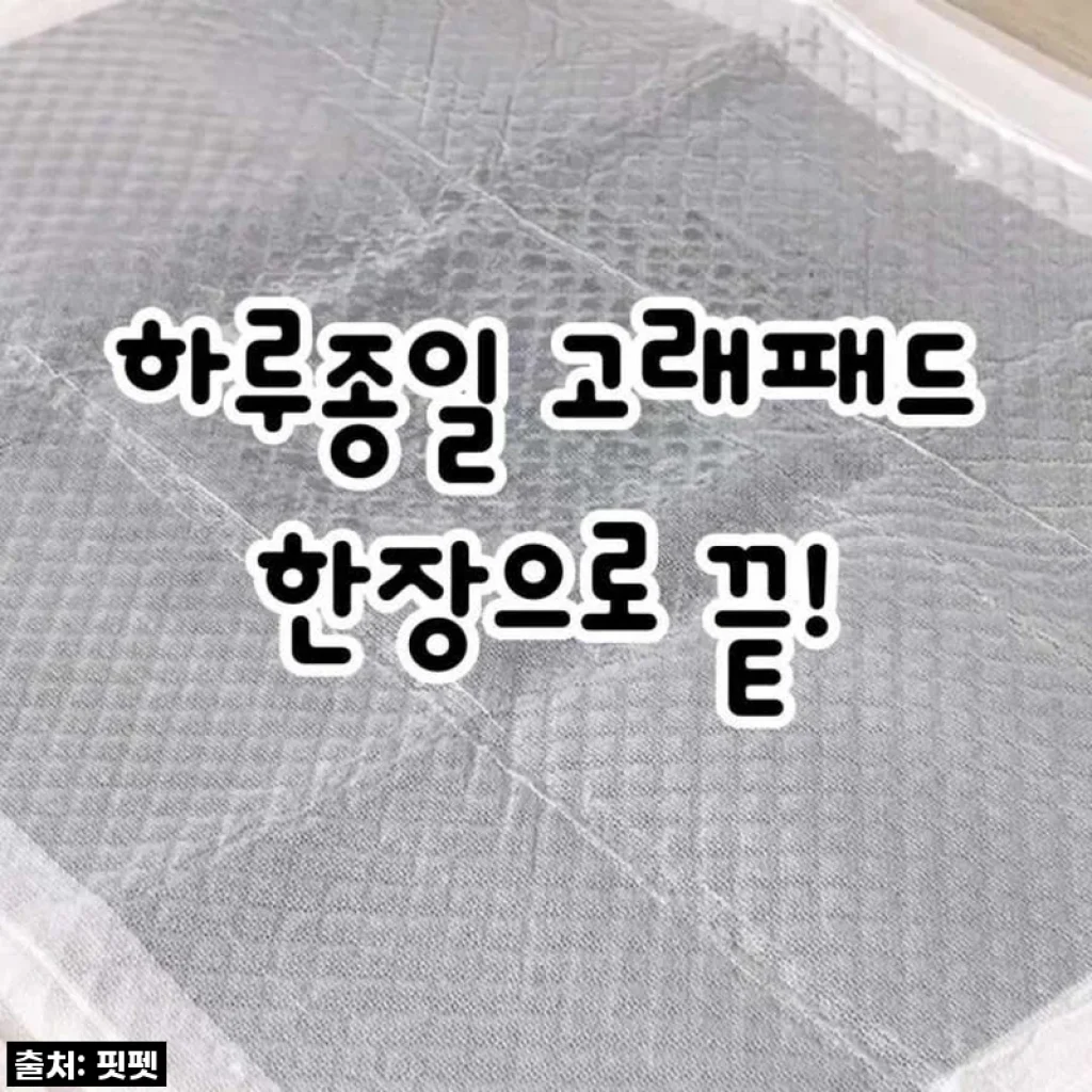 급해서 쟁여뒀던 배변패드 유목생활 끝! '강아지 고래패드' 할인할 때 무조건 쟁여야 할 찐후기!