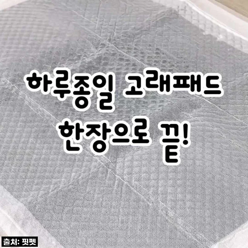 급해서 쟁여뒀던 배변패드 유목생활 끝! '강아지 고래패드' 할인할 때 무조건 쟁여야 할 찐후기!