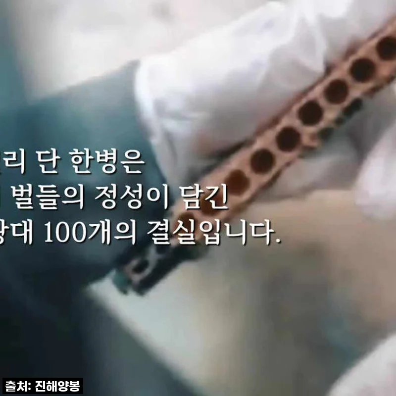 피곤에 쩔어 살던 제가 이렇게 변했어요! ✨진해양봉 생로얄제리 찐 후기!