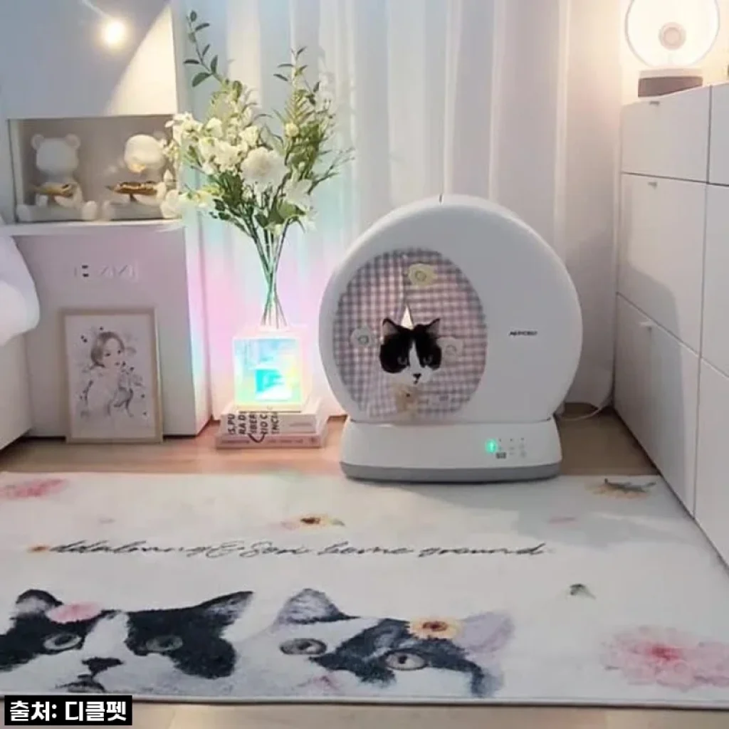 집사 인생 역대급 만족! 디클펫 에어로보 C10 Pro, 왜 이제야 만났을까? 찐 내돈내산 후기!