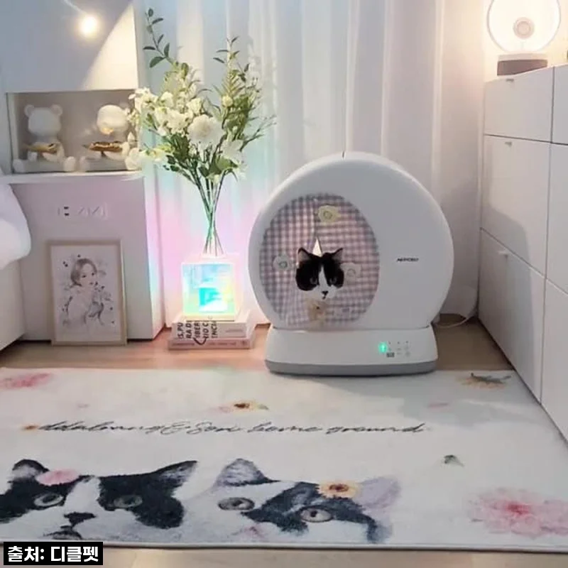 집사 인생 역대급 만족! 디클펫 에어로보 C10 Pro, 왜 이제야 만났을까? 찐 내돈내산 후기!