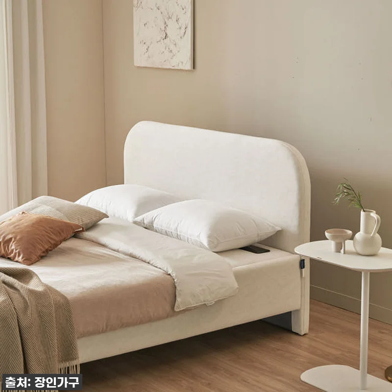 장인가구 보란 황토볼 온열 스프링 보 관련 이미지 1